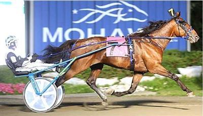 Clerk Magistrate Ready For CTC