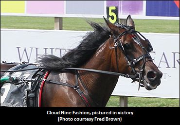 Stallion Stakes Galore Friday