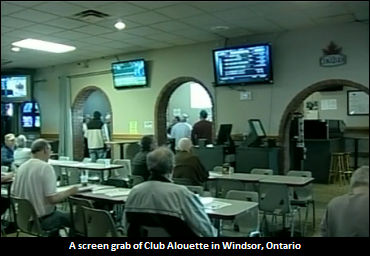 Windsor-Essex Horseplayers Up In Arms