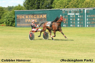 Cobbler Hanover Wins Turf Pace 