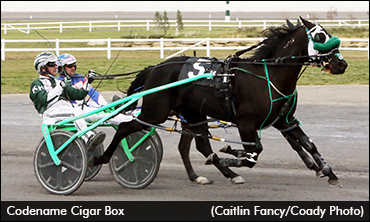 Can Lightning Strike Twice?