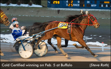 Repeat Winner Overlooked In Open Trot
