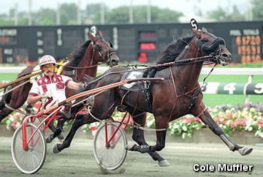 Lameness Troubles For Cole Muffler 
