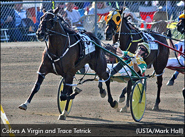 Tetrick On Breeders Crown 'Virginity'