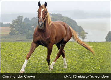 Commander Crowe Enters 'Crown'