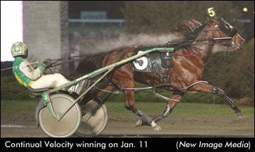 Continual Velocity Wires WEG Mares