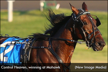 A 'Heaven'ly 2021 For Mitchell?