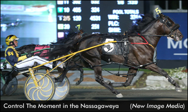 Freshmen Streak In Grand Circuit Stakes