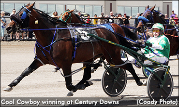 Cool Cowboy Coasts In Open