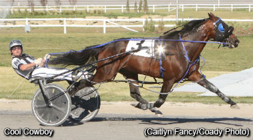 Cool Cowboy Cruises In Century Open