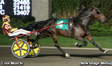 Cool Muscle Perfect; Hat Trick For Steacy 