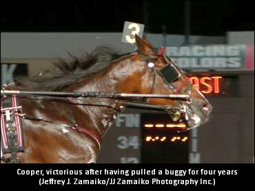 Six For Six After Four-Year Break