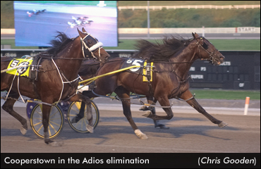 Field Set For Delvin Miller Adios