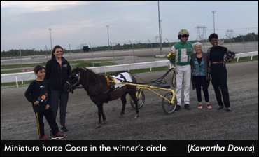 Mini Mania At Kawartha Downs