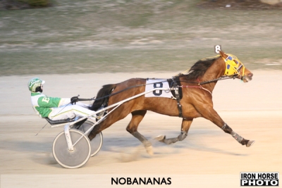Nobananas Peels Off Fourth Straight At GRVR