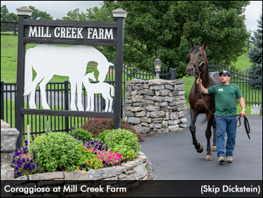 Mill Creek Donates To Adoption Program