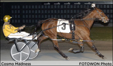 Cosmo Madness Wins DE-Sired Series
