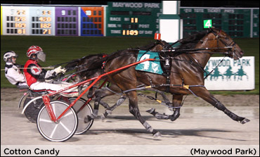 Cotton Candy Cruises In Filly Maywood Pace
