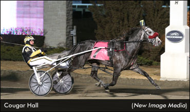 Cougar Hall Repeats At Woodbine