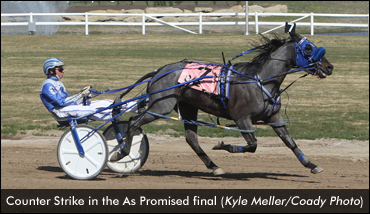 Another Stakes Win For Counter Strike