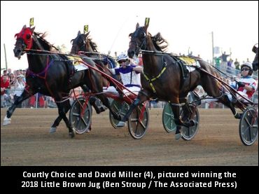 Courtly Choice Surges Up Week 18 Poll