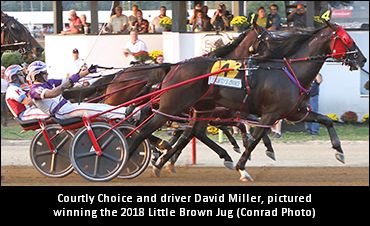 Courtly Choice To Race In 2019