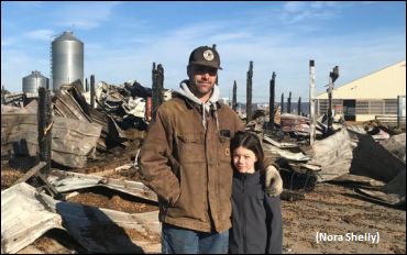 Barn Fire Claims 15 Racehorses