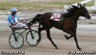 Crazy About Pat Ties Buffalo Record