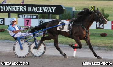 Trotting Colts Battle In NYSS