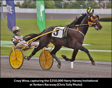 Crazy Wow To Stand In New York