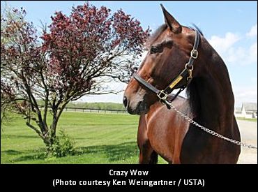 Crazy Wow To Debut For Melander