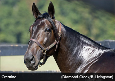 Creatine On The Move