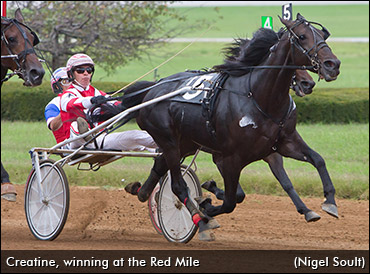 Creatine Sharp Heading Into Derby