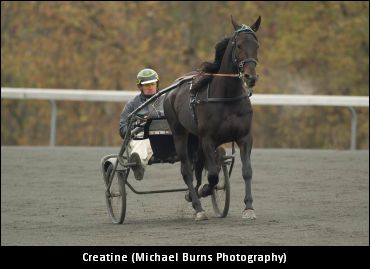 Creatine ‘Likely’ To Retire After Crown