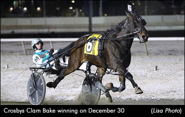 Ontario-Sired Horses Shine At Big M