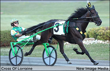 Jamieson's Imperfectly Perfect Filly