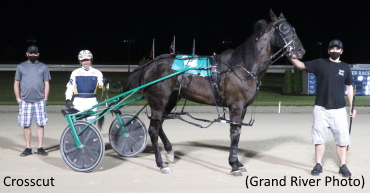 Crosscut Clicks In Preferred