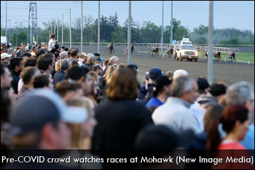 The Roar Of The Crowd