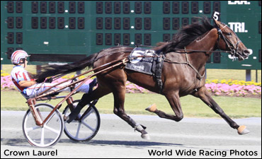 Track Record For Crown Laurel In PASS