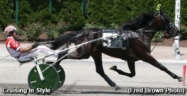 Rookie Trotters Tussle At Tioga