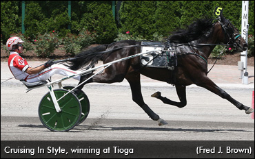 Borders No Barrier For TheStable.ca