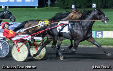 Stars Shine At The Meadowlands