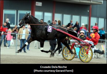 Cruzado Dela Noche Wants Another