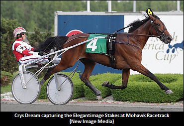 Crys Dream Qualifies In Kentucky