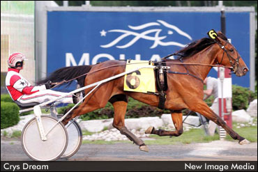 Fillies Set For Elegantimage Battle