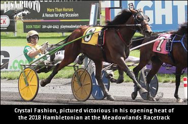 Crystal Fashion Continues To Prep