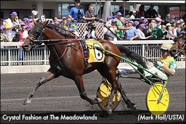 Campbell On Crystal Fashion, Graduate