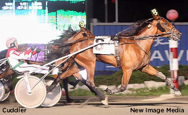 Cuddler Delivers Warm Fuzzies In Gold Final