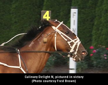 Down Under Mare Can Take Air