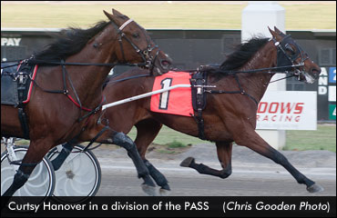 'Curtsy' Leads PASS Winners 'Curtsy' Leads PASS Winners